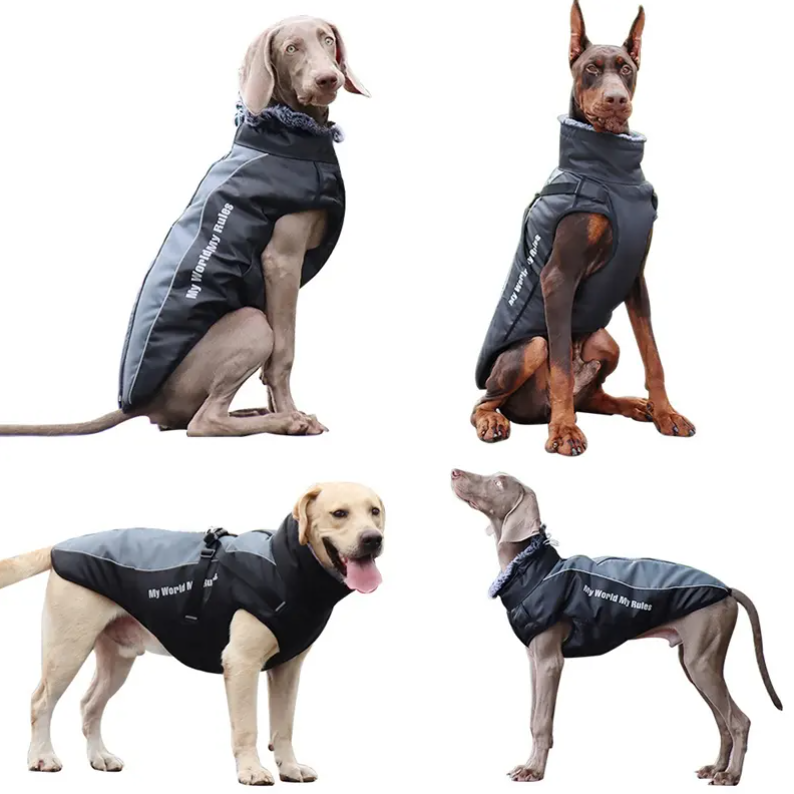Waterproof Dog Jacket - XL