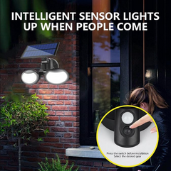 Solar Spotlight 10 Watts