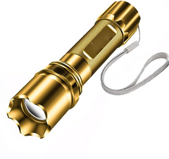 LED Tourch Light