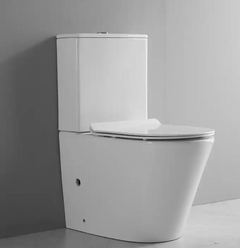 Back to Wall Toilet Suite Rimless