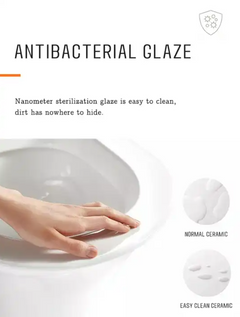 Back to Wall Toilet Suite Rimless