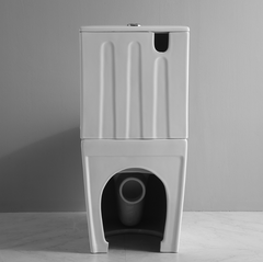 Back to Wall Toilet Suite Rimless