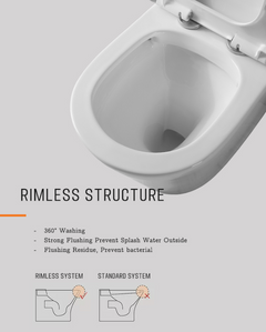 Back to Wall Toilet Suite Rimless