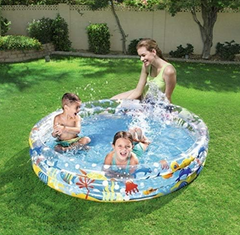 Bestway Swimming Pool