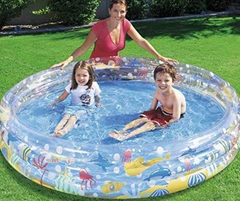 Bestway Swimming Pool