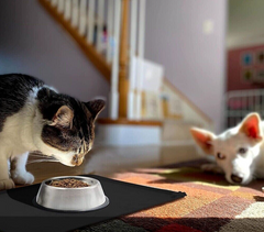 Waterproof Dog and Cat Feeding Mat