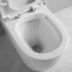Back-to-Wall Toilet Suite Rimless