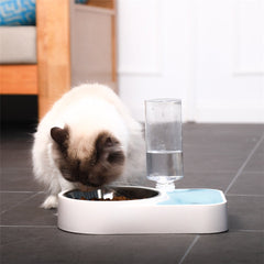 Pet Feeder and Drink