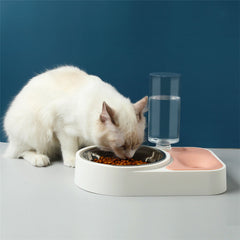 Pet Feeder and Drink
